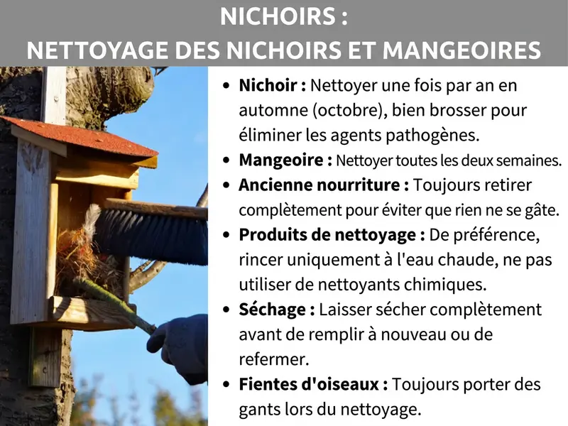 Infographie : infographie intitulée « Abris pour oiseaux : nettoyer nichoir et mangeoire ». À gauche, une photo montre une personne portant des gants en train de brosser un nichoir en bois à toit rouge, fixé à un arbre. À droite, six conseils sont listés : nettoyer le nichoir une fois par an en automne (octobre) et bien le brosser pour éliminer les germes. Nettoyer la mangeoire toutes les deux semaines. Toujours retirer entièrement les restes de nourriture pour éviter qu'ils ne se détériorent. Utiliser uniquement de l'eau chaude, sans produit chimique. Laisser sécher complètement avant de remplir ou de refermer. Toujours porter des gants lors de l'entretien en raison des fientes.