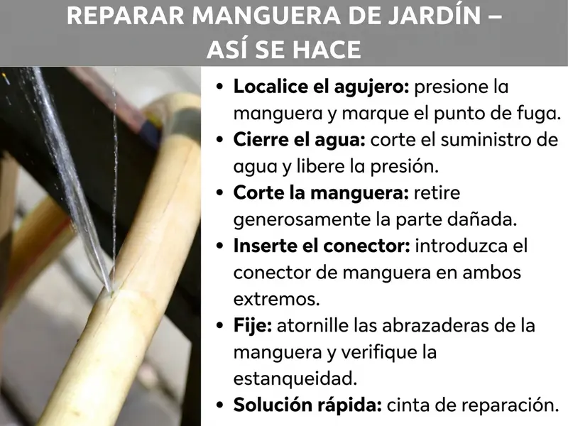 Infografía: «Reparar manguera de jardín: así se hace». A la izquierda, una foto de una manguera de jardín con una fuga de la que sale agua a presión. A la derecha, una guía paso a paso con seis puntos: 1. Localizar el agujero: poner la manguera bajo presión y marcar la zona que pierde. 2. Cerrar el agua: cortar el suministro y liberar la presión. 3. Cortar la manguera: recortar la zona dañada con un margen amplio. 4. Insertar el conector: introducir el conector de manguera en ambos extremos. 5. Fijar: apretar las abrazaderas y comprobar la estanqueidad. 6. Solución rápida: cinta de reparación.