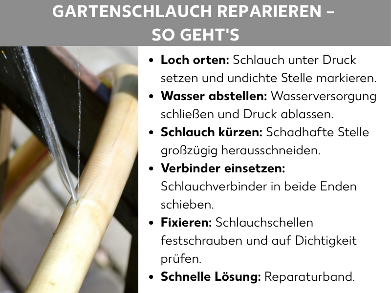 Infografik: „Gartenschlauch reparieren – So geht's". Links ein Foto eines undichten Gartenschlauchs, aus dem Wasser spritzt. Rechts eine Schritt-für-Schritt-Anleitung mit sechs Punkten: 1. Loch orten: Schlauch unter Druck setzen und undichte Stelle markieren. 2. Wasser abstellen: Wasserversorgung schließen und Druck ablassen. 3. Schlauch kürzen: Schadhafte Stelle großzügig herausschneiden. 4. Verbinder einsetzen: Schlauchverbinder in beide Enden schieben. 5. Fixieren: Schlauchschellen festschrauben und auf Dichtigkeit prüfen. 6. Schnelle Lösung: Reparaturband.