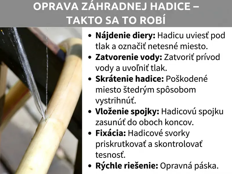 Infografika: „Oprava záhradnej hadice – ako na to“. Vľavo fotografia netesniacej záhradnej hadice, z ktorej strieka voda. Vpravo návod krok za krokom so šiestimi bodmi: 1. Nájdite dieru: hadicu dajte pod tlak a netesniace miesto označte. 2. Zatvorte vodu: uzatvorte prívod vody a uvoľnite tlak. 3. Skráťte hadicu: poškodenú časť štedro vystrihnite. 4. Vložte spojku: hadicovú spojku zasuňte do oboch koncov. 5. Upevnite: hadicové svorky utiahnite a skontrolujte tesnosť. 6. Rýchle riešenie: opravná páska.
