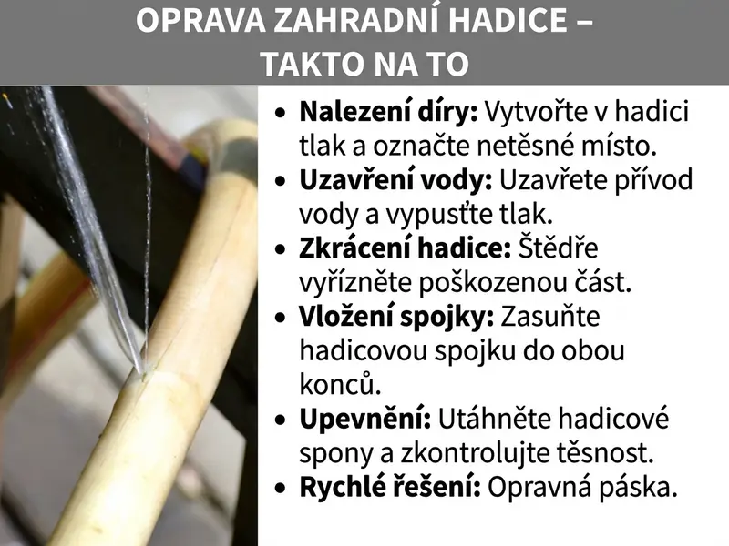 Infografika: „Oprava zahradní hadice – Jak na to". Vlevo fotografie netěsné zahradní hadice, ze které stříká voda. Vpravo návod krok za krokem se šesti body: 1. Najděte díru: Hadici natlakujte a netěsné místo si označte. 2. Vypněte vodu: Uzavřete přívod vody a uvolněte tlak. 3. Hadici zkraťte: Poškozenou část štědře vyřízněte. 4. Nasaďte spojku: Hadicovou spojku zasuňte do obou konců. 5. Zajistěte: Hadicové spony utáhněte a zkontrolujte těsnost. 6. Rychlé řešení: Opravná páska.
