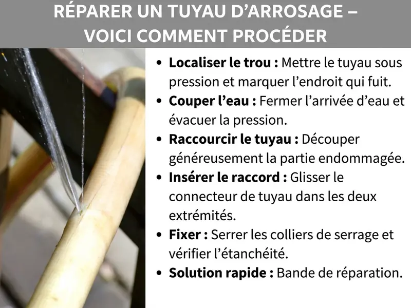 Infographie : « Réparer un tuyau d'arrosage – Mode d'emploi ». À gauche, une photo d'un tuyau d'arrosage percé d'où jaillit de l'eau. À droite, un guide étape par étape en six points : 1. Localiser le trou : mettre le tuyau sous pression et repérer la fuite. 2. Couper l'eau : fermer l'arrivée d'eau et relâcher la pression. 3. Couper le tuyau : découper généreusement la partie endommagée. 4. Insérer le raccord : glisser le raccord dans les deux extrémités. 5. Fixer : serrer les colliers de serrage et vérifier l'étanchéité. 6. Solution rapide : ruban de réparation.