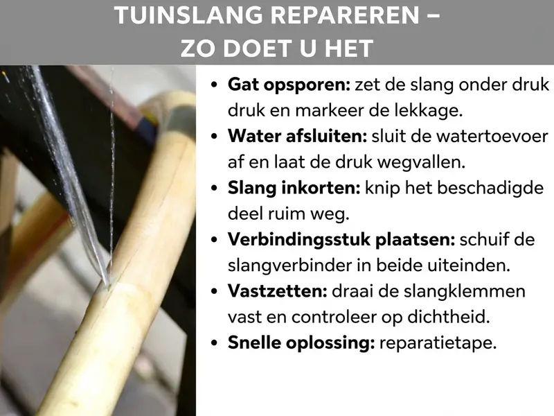 Infographic: "Tuinslang repareren – zo doe je dat". Links een foto van een lekkende tuinslang waaruit water spuit. Rechts een stapsgewijze handleiding met zes punten: 1. Gat lokaliseren: slang onder druk zetten en de lekkende plek markeren. 2. Water dichtdraaien: watertoevoer afsluiten en druk laten ontsnappen. 3. Slang inkorten: beschadigde plek ruim uitsnijden. 4. Verbinder plaatsen: slangverbinder in beide uiteinden schuiven. 5. Vastzetten: slangklemmen vastdraaien en op waterdichtheid controleren. 6. Snelle oplossing: reparatietape.