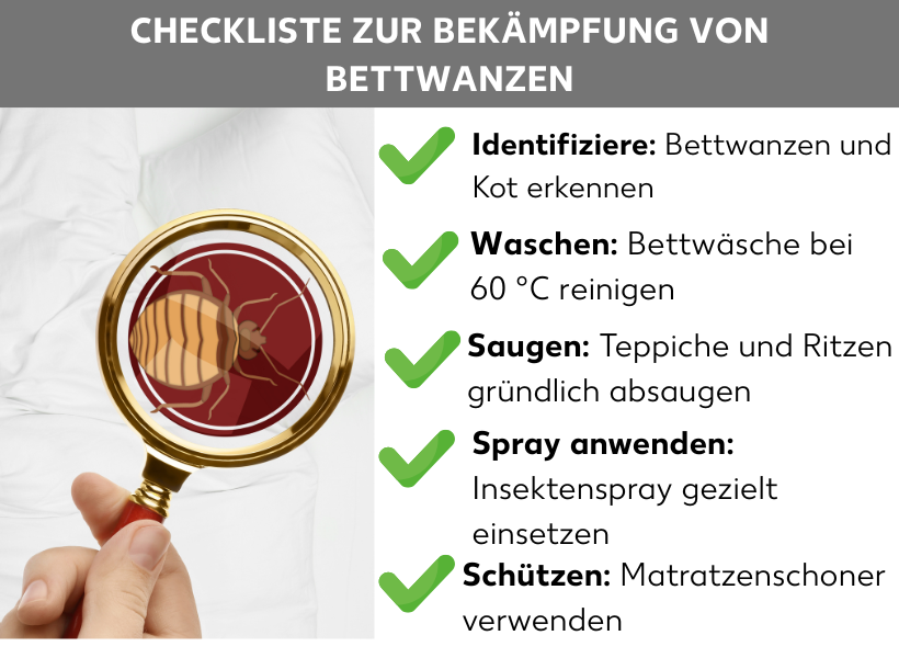 Infografik: Checkliste zur Bekämpfung von Bettwanzen: Die Liste umfasst fünf Punkte: 1. Identifizieren: Bettwanzen und Kot erkennen. 2. Waschen: Bettwäsche bei 60 °C reinigen. 3. Saugen: Teppiche und Ritzen gründlich absaugen. 4. Spray anwenden: Insektenspray gezielt einsetzen. 5. Schützen: Matratzenschoner verwenden. Zusätzlich zeigt die Grafik eine Lupe mit einer Darstellung einer Bettwanze, um das Thema visuell zu betonen.