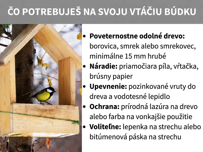 Infografika: Čo potrebujete na stavbu vtáčej búdky. Vľavo je fotografia sýkorky veľkej na drevenej vtáčej búdke. Vpravo je päť bodov: 1. Poveternostne odolné drevo: borovica, smrek alebo smrekovec, hrúbka min. 15 mm. 2. Náradie: priamočiara píla, vŕtačka, brúsny papier. 3. Spojovací materiál: pozinkované skrutky do dreva a vodoodolné lepidlo. 4. Ochrana: lazúra na prírodnej báze alebo exteriérová farba. 5. Voliteľné: strešná lepenka alebo bitúmenová páska na strechu.