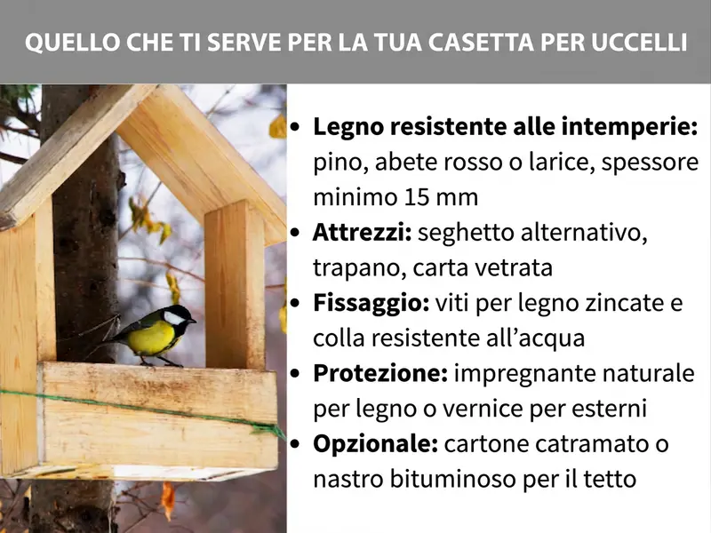 Infografica: cosa serve per la casetta per uccelli. A sinistra, la foto di una cinciallegra su una casetta in legno. A destra, cinque punti: 1. Legno resistente alle intemperie: pino, abete o larice, spessore minimo 15 mm. 2. Attrezzi: seghetto alternativo, trapano, carta abrasiva. 3. Fissaggio: viti zincate per legno e colla impermeabile. 4. Protezione: impregnante a base naturale o vernice per esterni. 5. Opzionale: cartone catramato o nastro bituminoso per il tetto.