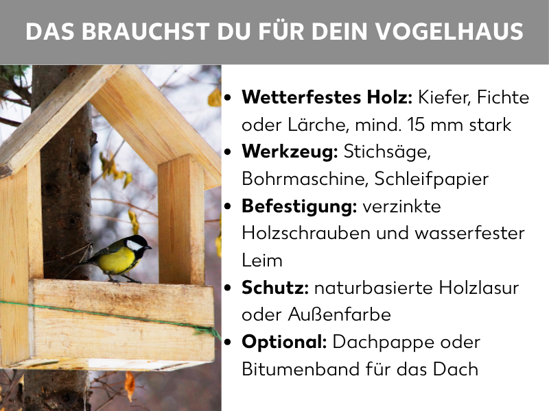 Infografik: Das brauchst du für dein Vogelhaus. Links ist ein Foto einer Kohlmeise auf einem hölzernen Vogelhaus zu sehen. Rechts sind fünf Stichpunkte aufgelistet: 1. Wetterfestes Holz: Kiefer, Fichte oder Lärche, mind. 15 mm stark. 2. Werkzeug: Stichsäge, Bohrmaschine, Schleifpapier. 3. Befestigung: verzinkte Holzschrauben und wasserfester Leim. 4. Schutz: naturbasierte Holzlasur oder Außenfarbe. 5. Optional: Dachpappe oder Bitumenband für das Dach.