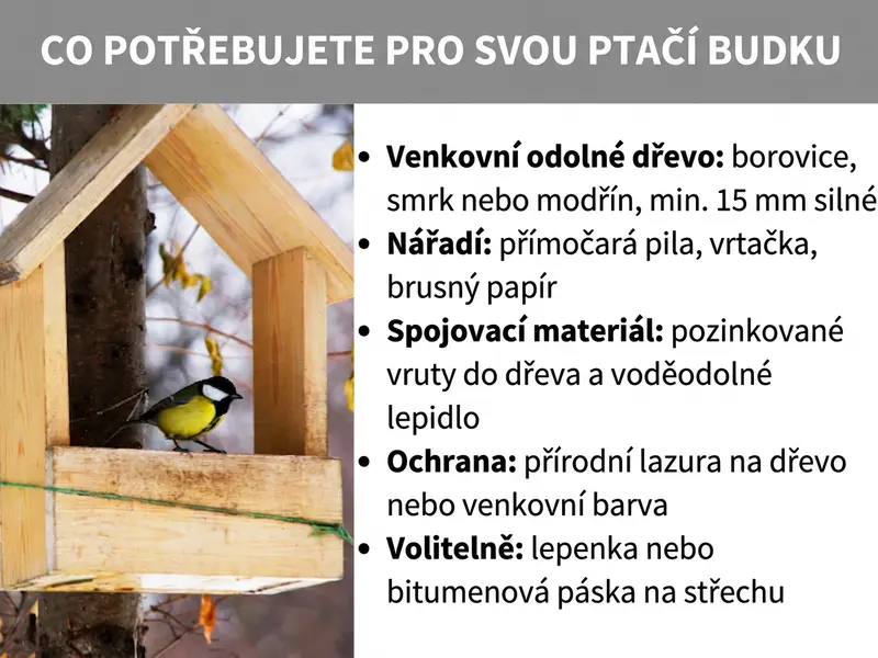 Infografika: Co budete potřebovat na výrobu krmítka. Vlevo je fotografie sýkorky koňadry na dřevěném krmítku. Vpravo je pět bodů: 1. Dřevo odolné vůči povětrnosti: borovice, smrk nebo modřín, min. 15 mm silné. 2. Nářadí: přímočará pila, vrtačka, brusný papír. 3. Spojovací materiál: pozinkované vruty do dřeva a vodotěsné lepidlo. 4. Ochrana: přírodní lazura na dřevo nebo venkovní barva. 5. Volitelně: střešní lepenka nebo bitumenová páska na střechu.