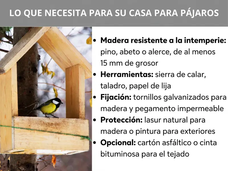Infografía: Lo que necesitas para tu comedero para pájaros. A la izquierda se ve una foto de un carbonero común posado en un comedero de madera. A la derecha aparecen cinco puntos: 1. Madera resistente a la intemperie: pino, abeto o alerce, mín. 15 mm de grosor. 2. Herramientas: sierra de calar, taladro, papel de lija. 3. Fijación: tornillos galvanizados para madera y cola resistente al agua. 4. Protección: veladura para madera de base natural o pintura de exterior. 5. Opcional: tela asfáltica o cinta bituminosa para el tejado.
