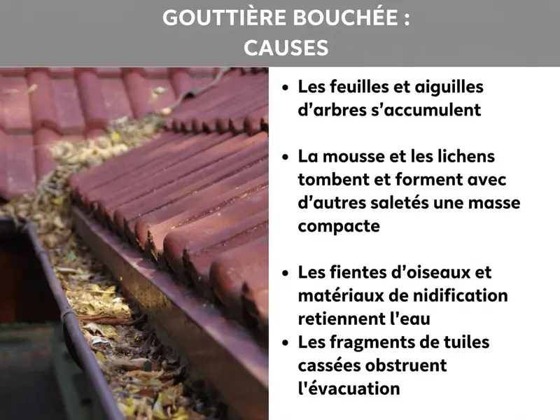 Infographie « Gouttière bouchée : les causes » : à gauche, une gouttière brun-rouge remplie de feuilles et de saletés sous des tuiles ; à droite, quatre causes fréquentes : feuilles mortes et aiguilles de pin, mousse et lichen, fientes d’oiseaux et matériaux de nidification, morceaux de tuiles cassées.