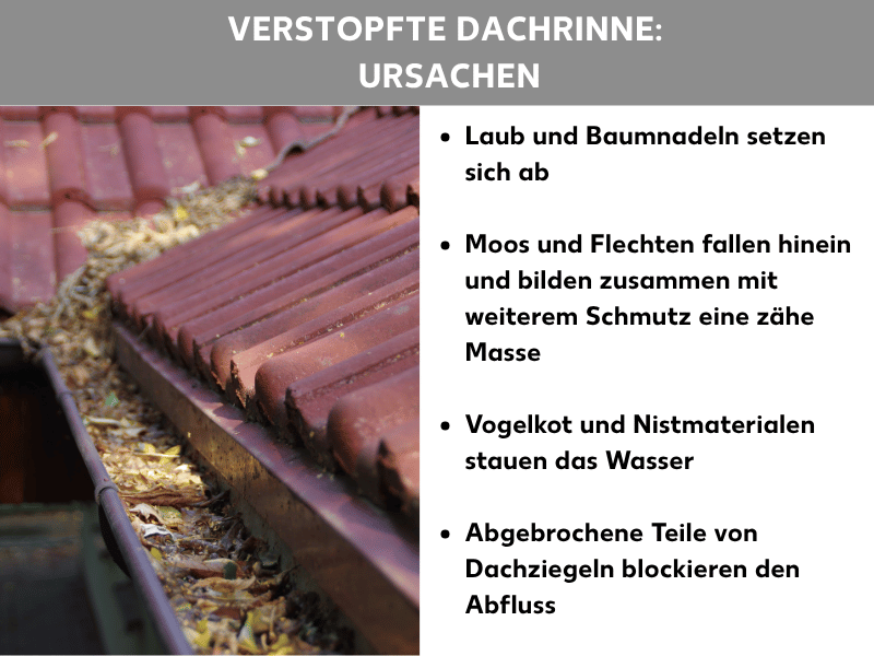 Infografik „Verstopfte Dachrinne: Ursachen": Links eine mit Laub und Schmutz gefüllte, rotbraune Dachrinne unter Dachziegeln, rechts vier häufige Ursachen: Laub und Baumnadeln, Moos und Flechten, Vogelkot und Nistmaterialien sowie abgebrochene Dachziegelteile.