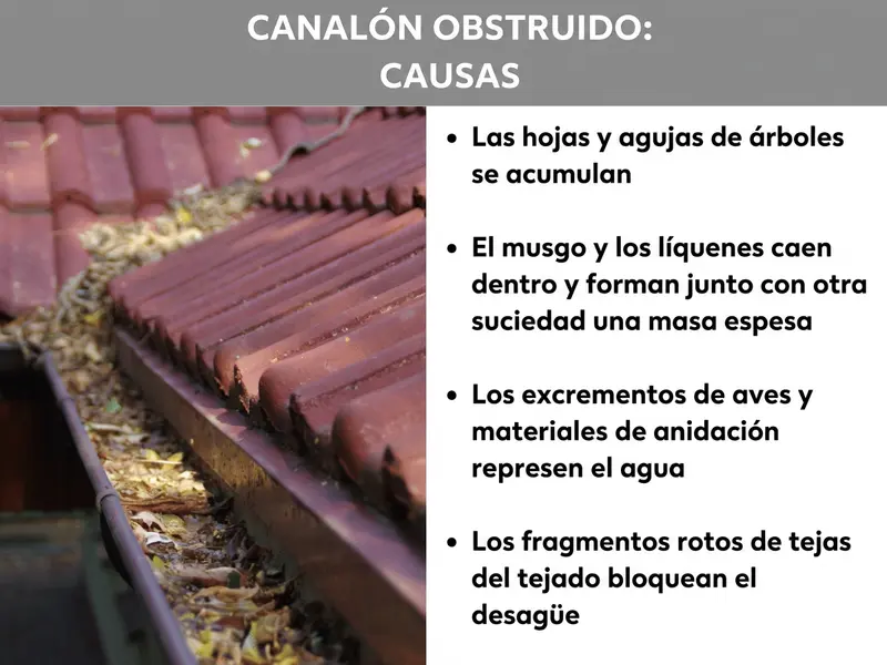 Infografía «Canalón obstruido: causas». A la izquierda, un canalón marrón rojizo lleno de hojas y suciedad bajo tejas; a la derecha, cuatro causas frecuentes: hojas y agujas de pino, musgo y líquenes, excrementos de aves y materiales de nidificación, y fragmentos de tejas rotas.