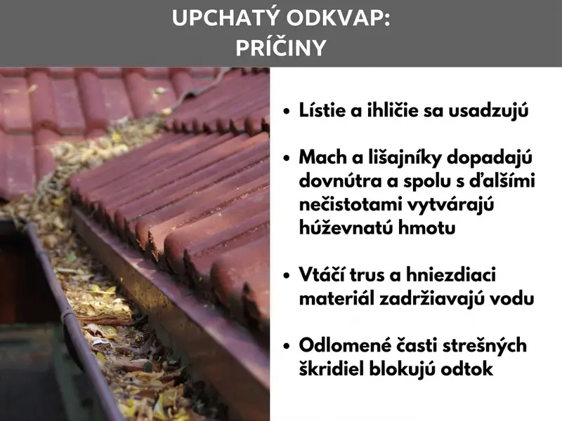 Infografika „Upchatý odkvap: príčiny": Vľavo červenohnedý odkvapový žľab plný lístia a nečistôt pod strešnými škridlami, vpravo štyri časté príčiny: lístie a ihličie, mach a lišajníky, vtáčí trus a hniezdny materiál a odlomené časti strešných škridiel.