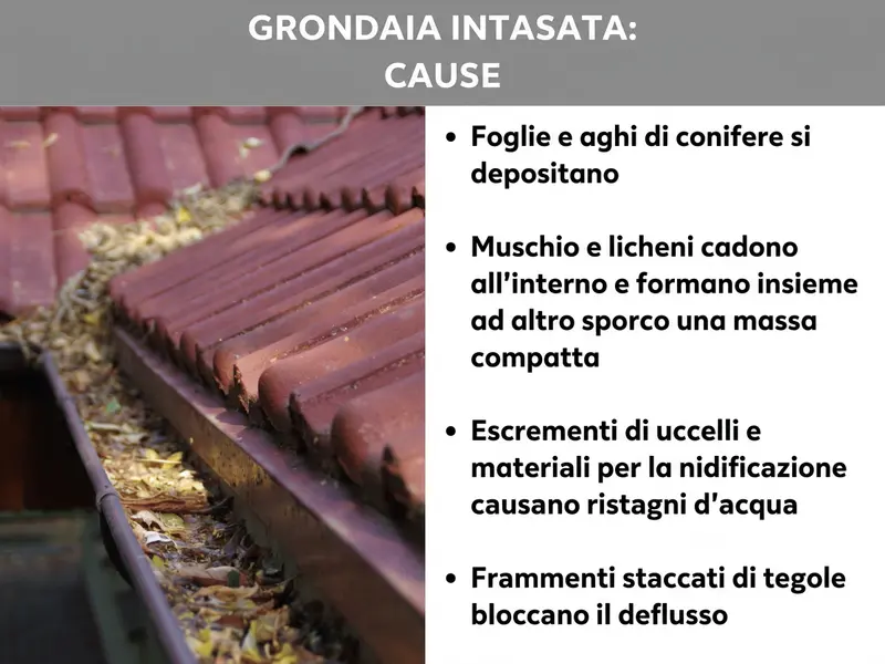 Infografica "Grondaia ostruita: le cause". A sinistra una grondaia di colore rosso-bruno piena di foglie e sporco, sotto le tegole del tetto. A destra, quattro cause comuni: foglie e aghi di pino, muschio e licheni, escrementi di uccelli e materiale da nido, frammenti di tegole.
