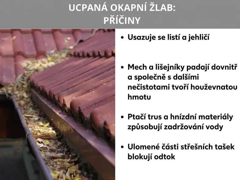 Infografika „Ucpaný okap: příčiny": Vlevo rezavě hnědý okap plný listí a nečistot pod střešními taškami, vpravo čtyři nejčastější příčiny: listí a jehličí, mech a lišejníky, ptačí trus a hnízdní materiál a odlomené části střešních tašek.