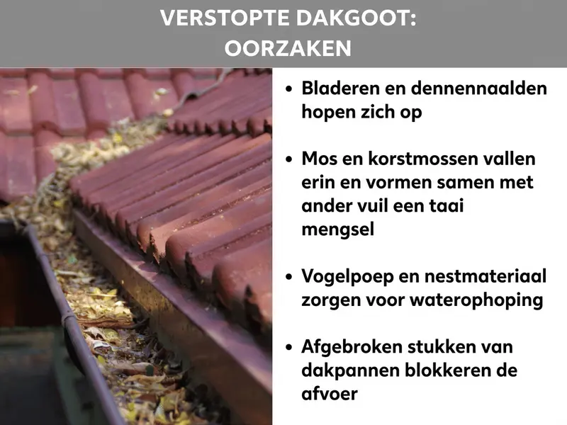 Infographic "Verstopte dakgoot: oorzaken": Links een met bladeren en vuil gevulde, roodbruine dakgoot onder dakpannen, rechts vier veelvoorkomende oorzaken: bladeren en dennennaalden, mos en korstmos, vogelpoep en nestmateriaal, en afgebroken stukken dakpan.
