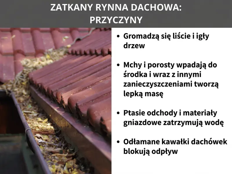 Infografika „Zatkana rynna: przyczyny" – po lewej rdzawobrązowa rynna wypełniona liśćmi i brudem pod dachówkami, po prawej cztery najczęstsze przyczyny: liście i igły drzew, mech i porosty, ptasie odchody i materiały gniazdowe oraz odłamki dachówek.