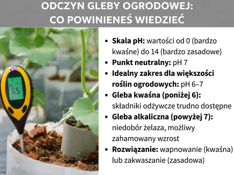 Infografika „pH gleby ogrodowej – co warto wiedzieć": żółto-czarny miernik pH w ziemi obok rośliny i sześć informacji: skala pH rozciąga się od 0 (bardzo kwaśne) do 14 (bardzo zasadowe), punkt neutralny to pH 7, idealny zakres dla większości roślin ogrodowych wynosi 6–7, przy kwaśnej glebie (poniżej 6) składniki odżywcze są trudno dostępne, przy glebie zasadowej (powyżej 7) grozi niedobór żelaza i zahamowanie wzrostu, rozwiązaniem jest wapnowanie gleby kwaśnej lub zakwaszanie gleby zasadowej.