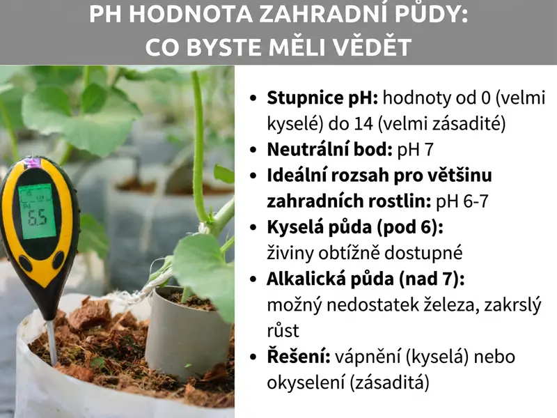 Infografika „pH hodnota zahradní půdy: Co byste měli vědět" se žlutočerným pH metrem zapíchnutým v půdě vedle rostliny a šesti informacemi: Stupnice pH se pohybuje od 0 (velmi kyselé) do 14 (velmi zásadité), neutrální bod leží na pH 7, ideální rozmezí pro většinu zahradních rostlin je pH 6–7, v kyselé půdě (pod 6) jsou živiny hůře dostupné, v alkalické půdě (nad 7) hrozí nedostatek železa a zakrslý růst, řešením je vápnění u kyselé nebo okyselování u zásadité půdy.