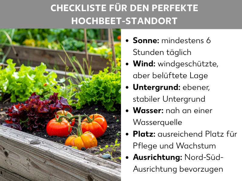 Infografik: Checkliste für den perfekten Hochbeet-Standort. Die Grafik zeigt links ein Foto eines bepflanzten Hochbeetes mit Tomaten, Salat und anderen Gemüsepflanzen. Rechts sind sechs Punkte aufgelistet: 1. Sonne: mindestens 6 Stunden täglich. 2. Wind: windgeschützte, aber belüftete Lage. 3. Untergrund: ebener, stabiler Untergrund. 4. Wasser: nah an einer Wasserquelle. 5. Platz: ausreichend Platz für Pflege und Wachstum. 6. Ausrichtung: Nord-Süd-Ausrichtung bevorzugen.