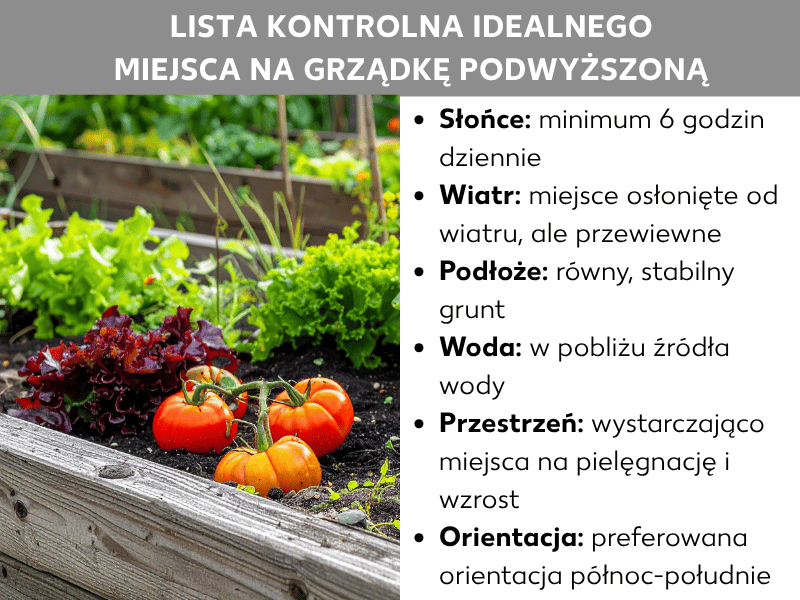 Infografika: lista kontrolna idealnego stanowiska grządki podwyższonej. Po lewej stronie zdjęcie obsadzonej grządki z pomidorami, sałatą i innymi warzywami. Po prawej sześć punktów: 1. Słońce: minimum 6 godzin dziennie. 2. Wiatr: osłonięte, ale przewiewne miejsce. 3. Podłoże: równe i stabilne. 4. Woda: blisko źródła wody. 5. Przestrzeń: wystarczająco dużo miejsca na pielęgnację i wzrost. 6. Orientacja: preferowana oś północ–południe.