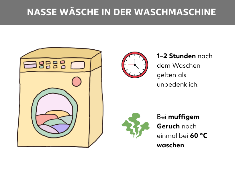 Infografik: Nasse Wäsche in der Waschmaschine. Neben der Grafik einer beladenen Waschmaschine sind zwei Listenpunkte zu sehen. Der obere Listenpunkt ist mit einer Uhr gekennzeichnet und enthält diesen Text: 1–2 Stunden gelten als unbedenklich. Der untere Listenpunkt ist mit grünen Duftwolken gekennzeichnet und enthält den Text: Bei muffigem Geruch noch einmal bei 60 °C waschen