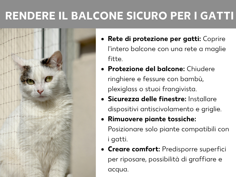 Infografica "Balcone a prova di gatto" con la foto di un gatto bianco dietro una rete di protezione e cinque consigli: installare una rete protettiva, chiudere ringhiera e fessure, mettere in sicurezza le finestre, rimuovere le piante velenose e creare un ambiente accogliente con cucce e acqua fresca.