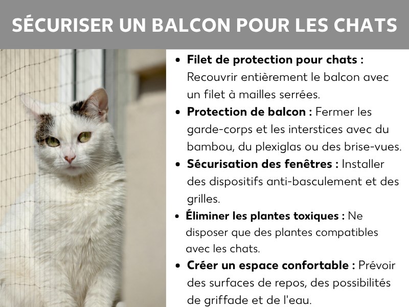 Infographie « Sécuriser un balcon pour son chat » avec la photo d'un chat blanc derrière un filet de protection et cinq conseils : installer un filet, combler les espaces entre les barreaux, sécuriser les fenêtres, retirer les plantes toxiques et créer un espace confortable avec des couchages et de l'eau.