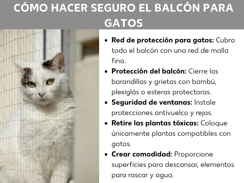 Infografía «Balcón seguro para gatos» con una foto de un gato blanco detrás de una red protectora y cinco consejos: instalar una red protectora para gatos, cerrar huecos en barandillas y rendijas, asegurar ventanas, retirar plantas tóxicas y crear un entorno acogedor con zonas de descanso y agua.