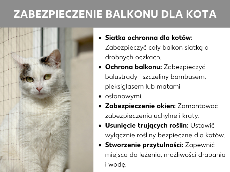 Infografika „Zabezpieczenie balkonu dla kota" ze zdjęciem białego kota za siatką ochronną oraz pięcioma poradami: zamontuj siatkę ochronną, zabezpiecz barierki i szczeliny, zabezpiecz okna, usuń trujące rośliny, stwórz przytulną przestrzeń z legowiskami i wodą.