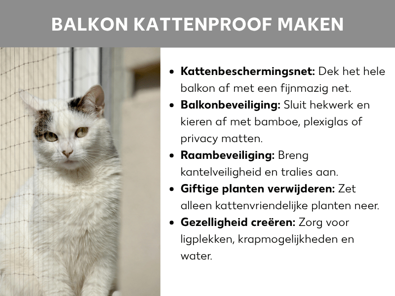 Infographic "Balkon katveilig maken" met een foto van een witte kat achter een beschermingsnet en vijf tips: kattenbeschermingsnet aanbrengen, hekwerk en kieren afdichten, ramen beveiligen, giftige planten verwijderen en een gezellige omgeving creëren met ligplekken en water.