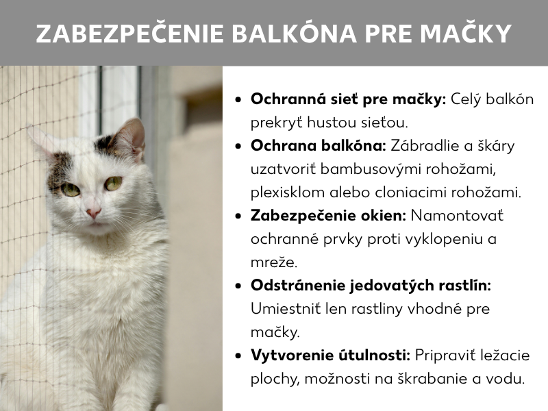 Infografika „Zabezpečenie balkóna pre mačky" s fotografiou bielej mačky za ochrannou sieťou a piatimi tipmi: namontovať ochrannú sieť pre mačky, uzavrieť zábradlie a škáry, zabezpečiť okná, odstrániť jedovaté rastliny a vytvoriť útulné prostredie s ležoviskami a vodou.