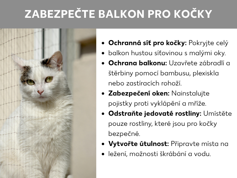Infografika „Zabezpečení balkonu pro kočky" s fotografií bílé kočky za ochrannou sítí a pěti tipy: nainstalovat ochrannou síť, uzavřít zábradlí a mezery, zajistit okna, odstranit jedovaté rostliny a vytvořit útulné prostředí s lehátky a miskou s vodou.