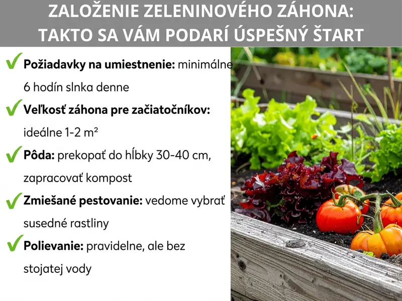 Infografika: Založenie zeleninového záhonu – ako na to. Grafika uvádza päť bodov: 1. Stanovište: minimálne šesť hodín slnka denne. 2. Veľkosť záhonu pre začiatočníkov: ideálne 1 – 2 m². 3. Pôda: prekopať do hĺbky 30 – 40 cm, zapracovať kompost. 4. Zmiešaná kultúra: vedome vyberať susedné rastliny. 5. Polievanie: pravidelne, ale bez premokrenia. Vpravo je fotografia dreveného vyvýšeného záhonu s vysadeným šalátom a paradajkami.