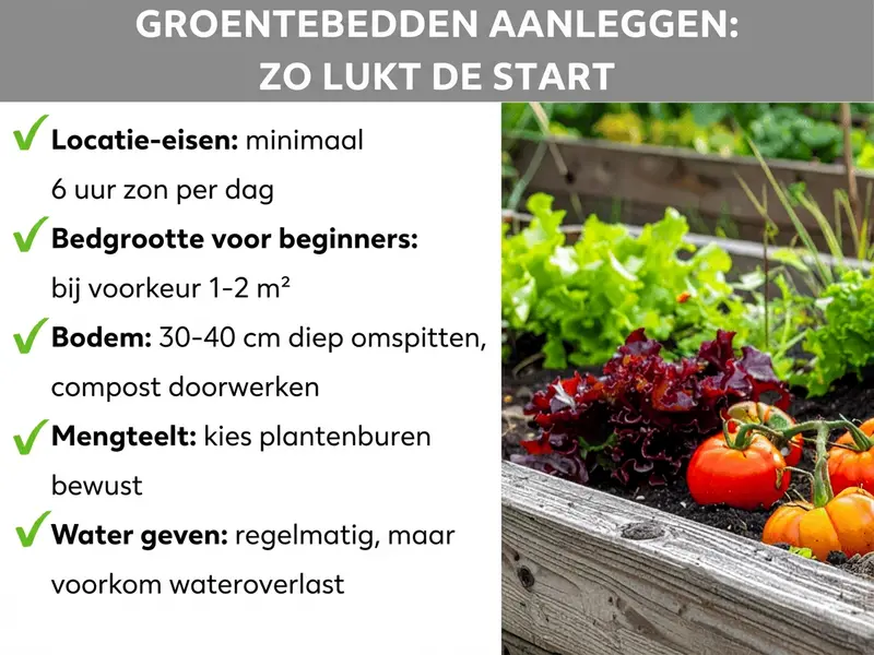 Infographic: Moestuin aanleggen – zo lukt de start. De afbeelding toont vijf punten: 1. Standplaats: minstens 6 uur zon per dag. 2. Grootte voor beginners: idealiter 1–2 m². 3. Bodem: 30–40 cm diep omspitten, compost inwerken. 4. Mengcultuur: plantenburen bewust kiezen. 5. Water geven: regelmatig, maar niet te nat. Rechts ernaast is een foto te zien van een beplant houten verhoogd bed met sla en tomaten.