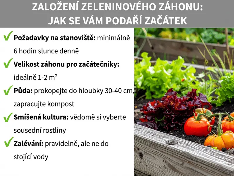 Infografika: Založení zeleninového záhonu – jak na úspěšný start. Grafika uvádí pět bodů: 1. Umístění: alespoň 6 hodin slunce denně. 2. Velikost záhonu pro začátečníky: ideálně 1–2 m². 3. Půda: překopat do hloubky 30–40 cm, zapracovat kompost. 4. Smíšená kultura: cíleně volit sousedství rostlin. 5. Zalévání: pravidelně, ale bez zamokření. Vedle je fotografie osázeného dřevěného vyvýšeného záhonu se salátem a rajčaty.