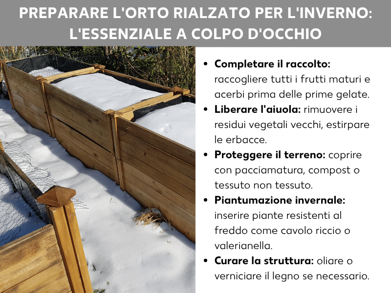 Infografica: preparazione dell'orto rialzato per l'inverno, il riepilogo. La lista comprende cinque punti: 1. Completare il raccolto: raccogliere tutti i frutti maturi e acerbi prima delle prime gelate. 2. Liberare l'aiuola: eliminare i residui delle piante e togliere le erbacce. 3. Proteggere il suolo: coprire con pacciamatura, compost o tessuto non tessuto. 4. Colture invernali: piantare specie resistenti al freddo come cavolo riccio o valerianella. 5. Curare la struttura: oliare o verniciare il legno se necessario. Accanto è visibile la foto di un orto rialzato in legno coperto di neve in inverno.