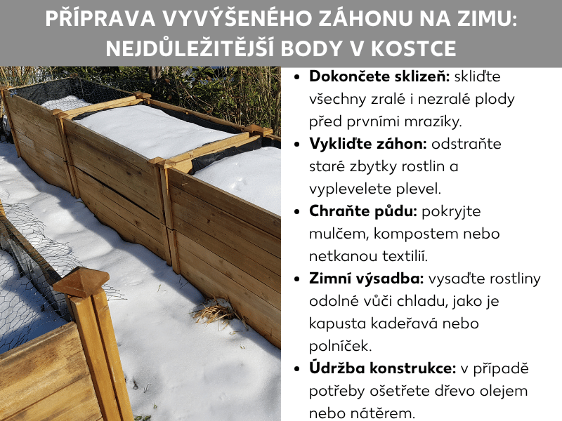 Infografika: Zazimování vyvýšeného záhonu – to nejdůležitější v kostce. Seznam obsahuje pět bodů: 1. Dokončete sklizeň: Všechny zralé i nezralé plody skliďte před prvním mrazem. 2. Ukliďte záhon: Odstraňte staré zbytky rostlin a vypleťte plevel. 3. Chraňte půdu: Přikryjte mulčem, kompostem nebo netkanou textilií. 4. Zimní výsadba: Vysaďte mrazuvzdorné rostliny, jako je kapusta nebo polníček. 5. Péče o konstrukci: Dřevo podle potřeby naolejujte nebo natřete. Vedle je fotografie zasněženého dřevěného vyvýšeného záhonu v zimě.