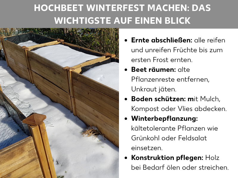 Infografik: Hochbeet winterfest machen: Das Wichtigste auf einen Blick. Die Liste umfasst fünf Punkte: 1. Ernte abschließen: alle reifen und unreifen Früchte bis zum ersten Frost ernten. 2. Beet räumen: alte Pflanzenreste entfernen, Unkraut jäten. 3. Boden schützen: mit Mulch, Kompost oder Vlies abdecken. 4. Winterbepflanzung: kältetolerante Pflanzen wie Grünkohl oder Feldsalat einsetzen. 5. Konstruktion pflegen: Holz bei Bedarf ölen oder streichen. Links daneben ist ein Foto eines schneebedeckten Hochbeets aus Holz im Winter zu sehen.