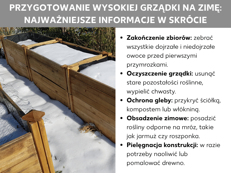 Infografika: Zimowanie grządki podwyższonej – najważniejsze informacje w skrócie. Lista obejmuje pięć punktów: 1. Zakończ zbiory: zbierz wszystkie dojrzałe i niedojrzałe owoce przed pierwszym mrozem. 2. Uprzątnij grządkę: usuń stare resztki roślin, wypiel chwasty. 3. Ochrona gleby: przykryj ściółką, kompostem lub agrowłókniną. 4. Sadzenie zimowe: posadź rośliny odporne na chłód, np. jarmuż lub roszponkę. 5. Konserwacja konstrukcji: w razie potrzeby naoliwij lub pomaluj drewno. Po lewej stronie widać zdjęcie ośnieżonej drewnianej grządki podwyższonej zimą.