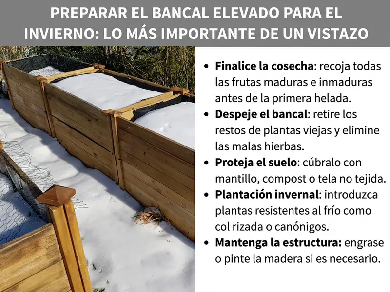 Infografía: preparar el huerto elevado para el invierno: lo más importante de un vistazo. La lista incluye cinco puntos: 1. Finalizar la cosecha: recoger todos los frutos maduros e inmaduros antes de la primera helada. 2. Limpiar el huerto: retirar los restos de plantas viejas y arrancar las malas hierbas. 3. Proteger el suelo: cubrir con mantillo, compost o manta geotextil. 4. Plantación de invierno: introducir plantas tolerantes al frío como la col rizada o la valerianela. 5. Cuidar la estructura: aplicar aceite o barniz a la madera si es necesario. A la izquierda se ve una foto de un huerto elevado de madera cubierto de nieve en invierno.