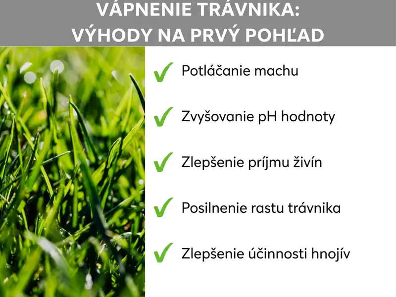 Infografika: Výhody vápnenia trávnika v kocke. Zoznam obsahuje päť bodov: 1. Potlačenie machu. 2. Zvýšenie pH hodnoty. 3. Zlepšenie príjmu živín. 4. Posilnenie rastu trávnika. 5. Zvýšenie účinnosti hnojiva.