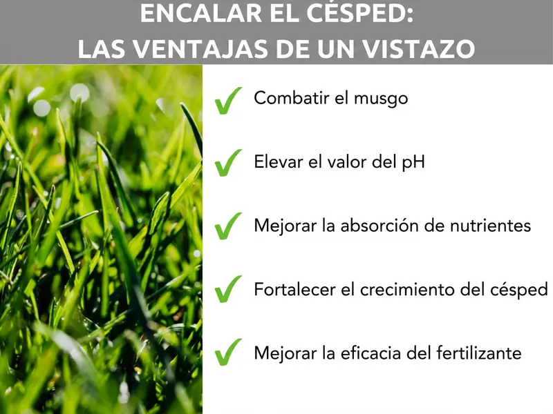 Infografía: ventajas de encalar el césped de un vistazo. La lista incluye cinco puntos: 1. Combatir el musgo. 2. Elevar el pH. 3. Mejorar la absorción de nutrientes. 4. Reforzar el crecimiento del césped. 5. Hacer más eficaz el abono.