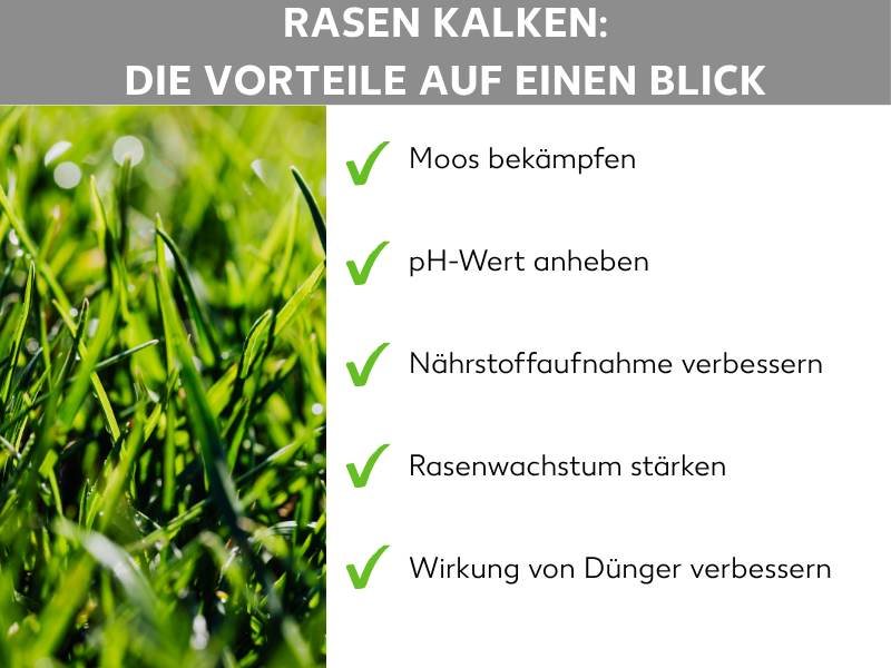 Infografik: Vorteile des Rasenkalkens auf einen Blick. Die Liste umfasst fünf Punkte: 1. Moos bekämpfen. 2. pH-Wert anheben. 3. Nährstoffaufnahme verbessern. 4. Rasenwachstum stärken. 5. Dünger effektiver machen.