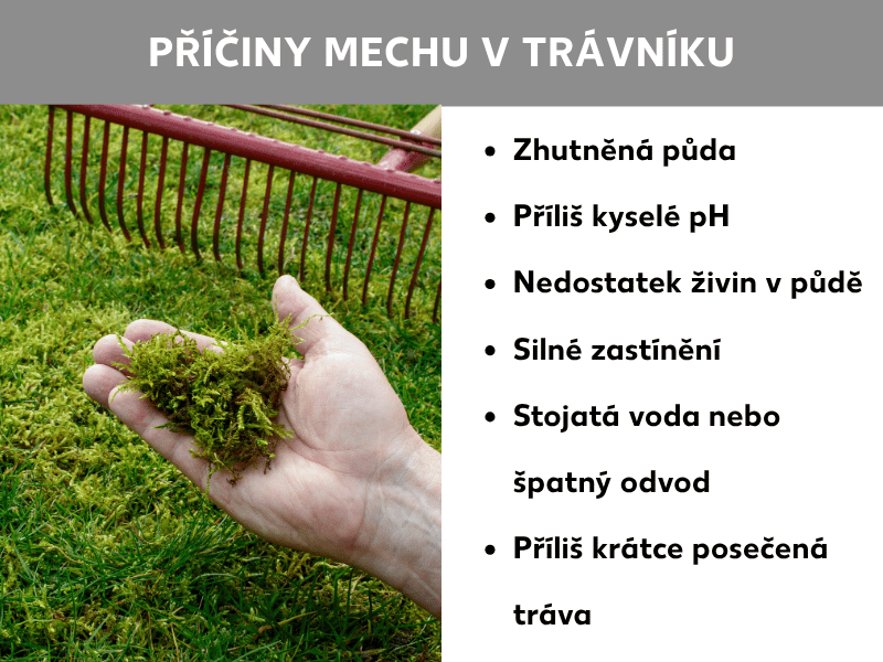 Infografika: Příčiny výskytu mechu v trávníku. Ruka drží hrst mechu nad zamšeným trávníkem, v pozadí jsou červené hrábě. Seznam ukazuje šest příčin: zhutněná půda, příliš kyselé pH, nedostatek živin v půdě, silné zastínění, stojatá voda nebo špatný odtok, příliš nakrátko sečená tráva.