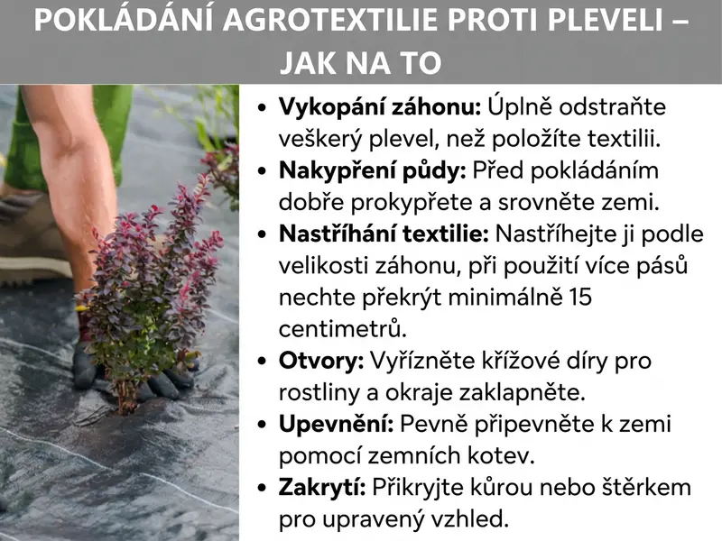 Infografika: „Pokládka textilie proti plevelu – jak na to". Vlevo na obrázku je fotografie osoby v zahradních rukavicích, která sází rostlinu přes černou textilii proti plevelu. Vpravo je šest kroků vysvětlených v bodech: 1. Záhon vyplet – před pokládkou textilie kompletně odstranit plevel. 2. Půdu nakypřit – před pokládkou zeminu důkladně prokypřit a urovnat. 3. Textilii nastříhat – nastříhat podle velikosti záhonu, jednotlivé pásy nechat přesahovat alespoň o 15 centimetrů. 4. Otvory – vystřihnout křížové otvory pro rostliny a okraje zahrnout. 5. Upevnit – zafixovat zemními kolíky k půdě. 6. Zakrýt – pokrýt mulčovací kůrou nebo štěrkem pro upravený vzhled.