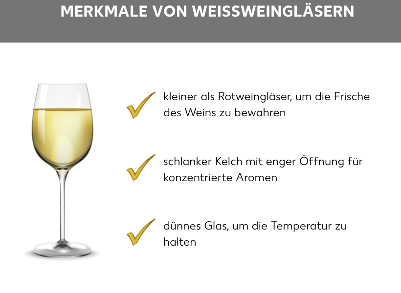 Infografik über die Merkmale von Weißweingläsern. Neben der Grafik eines halbgefüllten Weißweinglases stehen die Listenpunkte: kleiner als Rotweingläser, um die Frische des Weins zu bewahren, schlanker Kelch mit enger Öffnung für konzentrierte Aromen, dünnes Glas, um die Temperatur zu halten.