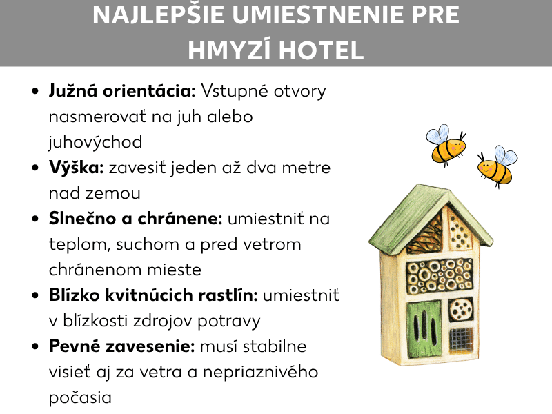 Infografika: Najlepšie miesto pre hmyzí hotel. Grafika zobrazuje päť bodov na bielom pozadí. Vpravo je ilustrácia dreveného hmyzieho hotela a dve nakreslené včely. 1. Orientácia na juh: vstupné otvory nasmerujte na juh alebo juhovýchod. 2. Výška: zaveste jeden až dva metre nad zemou. 3. Slnečné a chránené miesto: umiestnite na teplé, suché a bezvetré miesto. 4. Blízko kvitnúcich rastlín: uložte v blízkosti zdrojov potravy. 5. Pevné upevnenie: hotel musí byť stabilne zavesený za každého počasia.