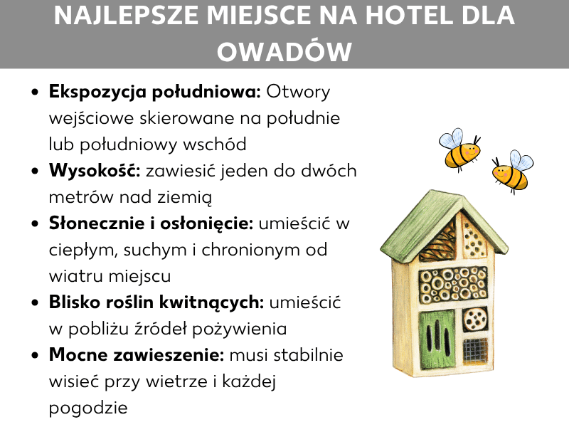 Infografika: najlepsze miejsce na hotel dla owadów. Grafika przedstawia pięć punktów na białym tle, a obok ilustrację drewnianego hotelu dla owadów oraz dwie narysowane pszczoły. 1. Kierunek południowy: otwory wlotowe skierowane na południe lub południowy wschód. 2. Wysokość: zawieszenie na wysokości od jednego do dwóch metrów nad ziemią. 3. Słonecznie i osłonięte: ciepłe, suche i osłonięte od wiatru miejsce. 4. Blisko kwitnących roślin: umieszczenie w pobliżu źródeł pokarmu. 5. Stabilne zawieszenie: domek musi mocno trzymać się w każdych warunkach pogodowych.