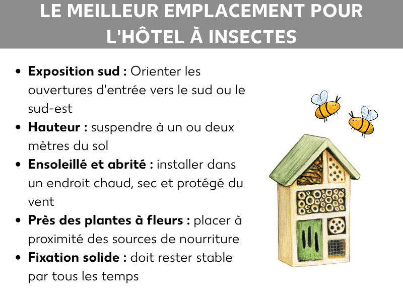Infographie montrant le meilleur emplacement pour un hôtel à insectes. Cinq points illustrés : orientation sud, hauteur de 1 à 2 mètres, ensoleillé et abrité, près de plantes fleuries et fixation solide.